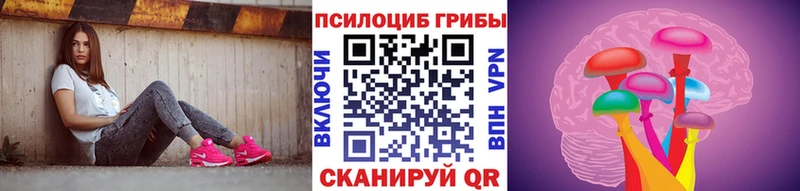 Псилоцибиновые грибы Psilocybine cubensis  мориарти клад  Лениногорск  наркотики 